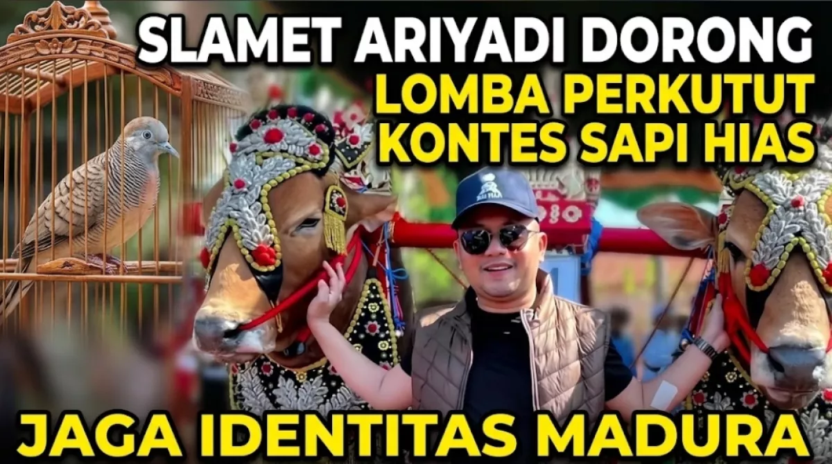 Slamet Ariyadi Dorong Lomba Perkutut dan Kontes Sapi Hias, Jaga Identitas Madura