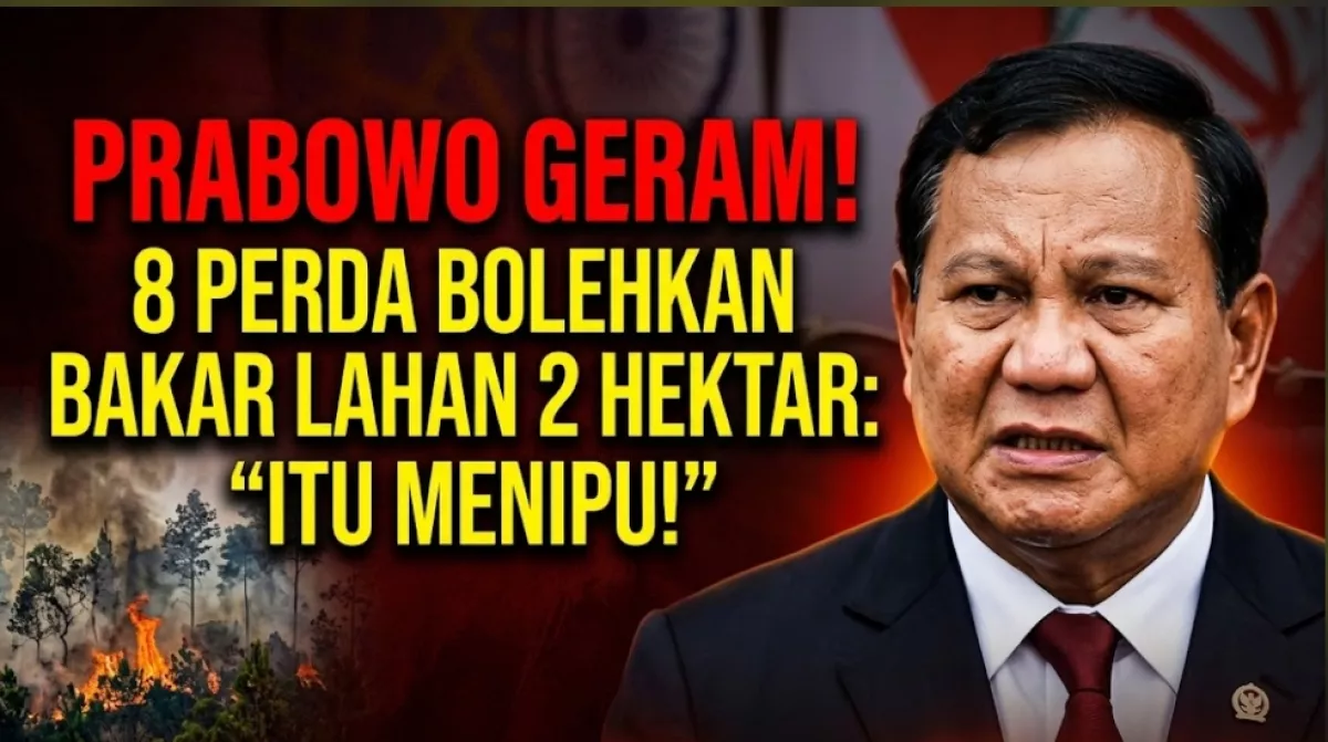 Prabowo Geram 8 Perda Bolehkan Bakar Lahan 2 Hektar: Itu Menipu!