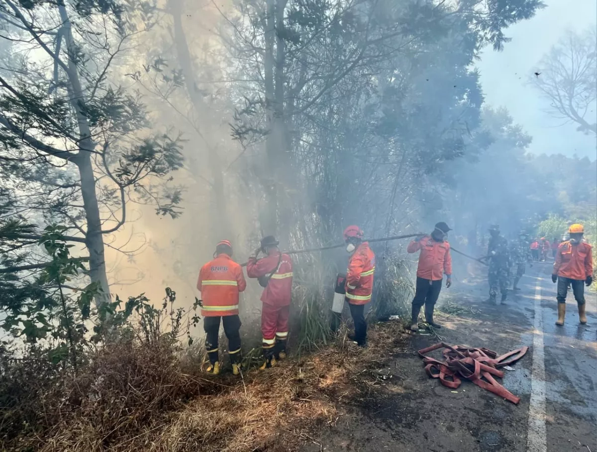Water Bombing Terkendala Angin Kencang, Penanganan Karhutla Gunung Bromo Optimalkan Jalur Darat