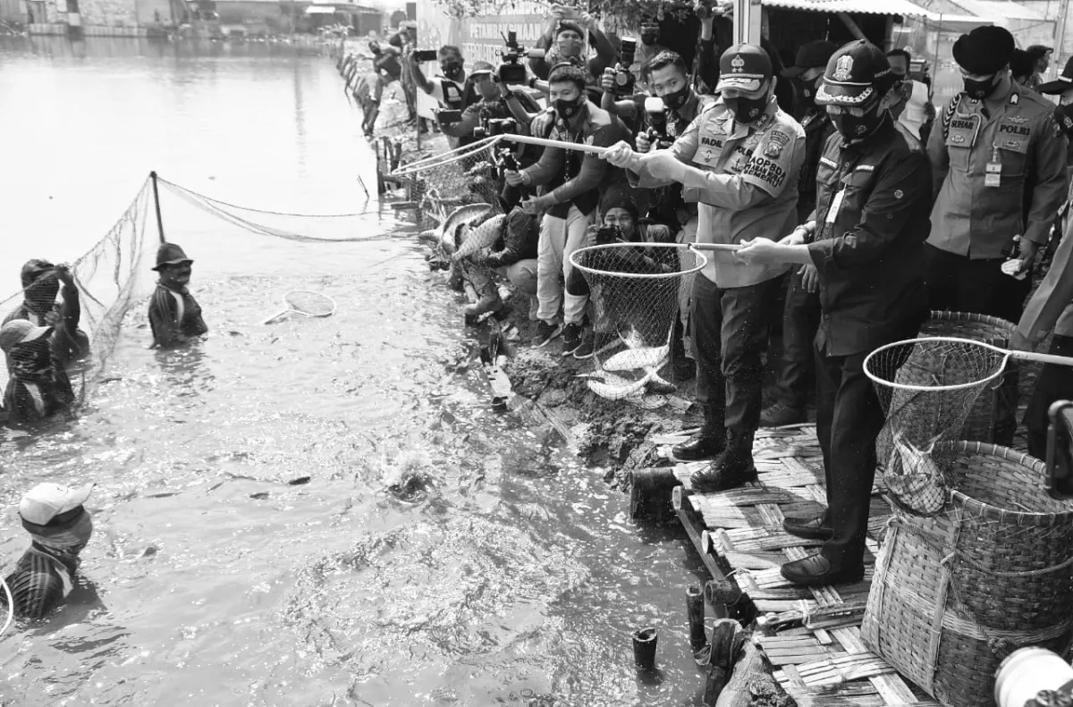 Produksi Perikanan Sidoarjo Stagnan 3 Tahun, Bandeng Masih Jadi Komoditas Unggulan