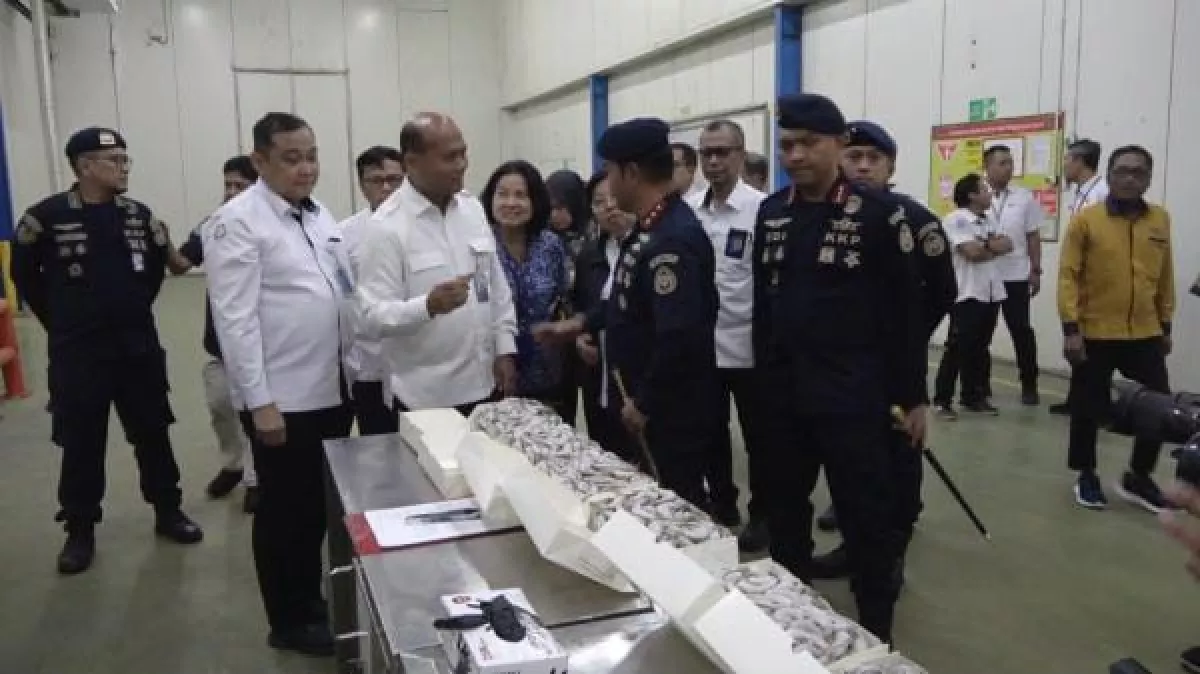 KKP Segel 144 Ton Udang Vannamei Impor di Gudang PT BMI Lamongan
