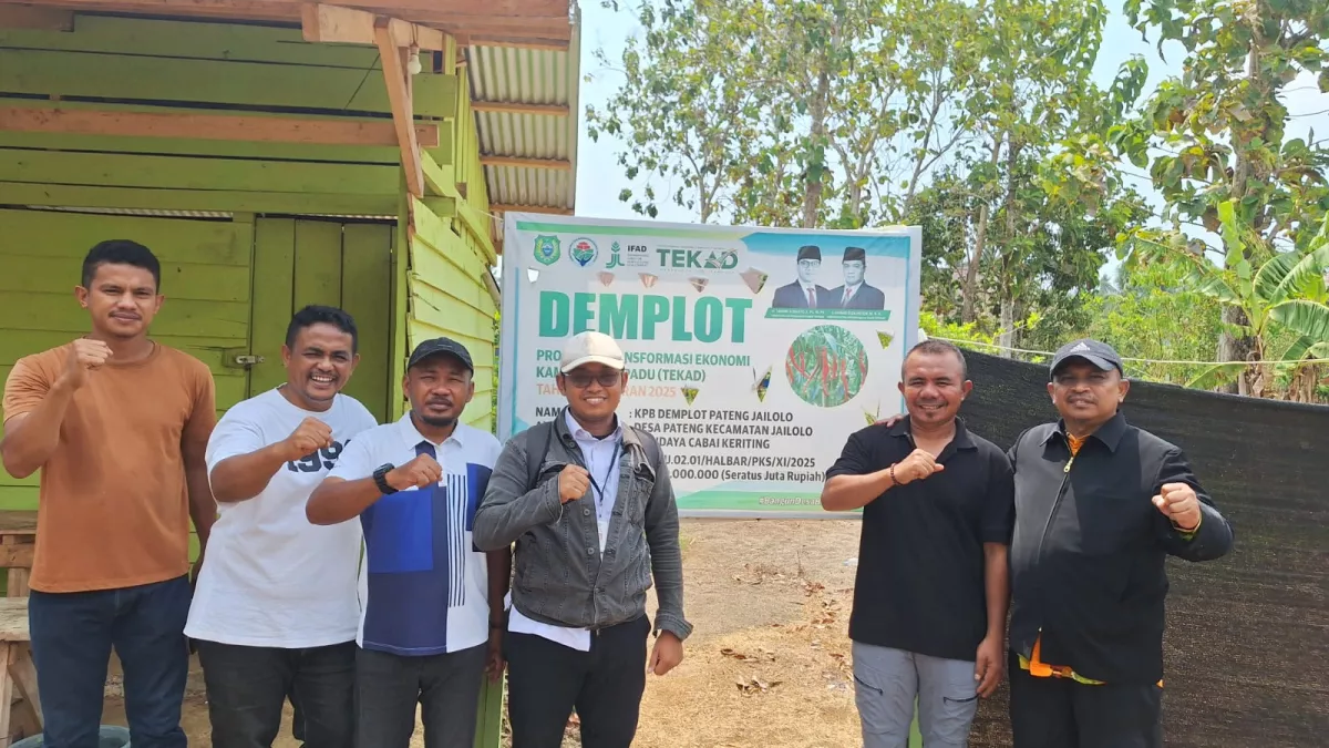 Progam TEKAD Sangat Dirasakan Warga Desa di Kabupaten Halmahera Barat, Ekonomi Tumbuh Bergerak