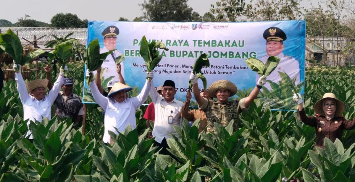 Luas Tanam Tembakau Jombang Capai 6.508 Hektare, Pemkab Perkuat Dukungan untuk Petani