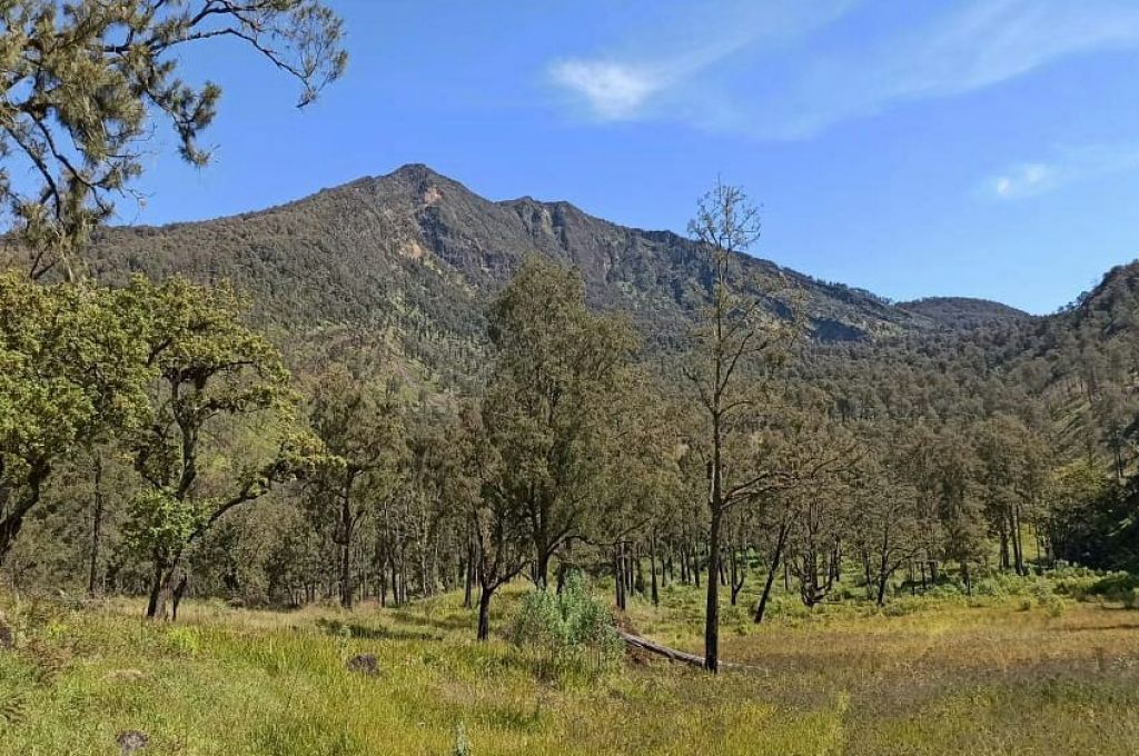 Dua Jalur Pendakian Gunung Arjuno-Welirang Uji Coba Dibuka Hari Ini